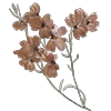 Эмодзи Beige Brown для Telegram — скачать