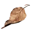 🍂 Эмодзи «Beige Brown» для Telegram
