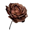 🌹 Эмодзи «Beige Brown» для Telegram