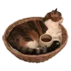 🐈 Эмодзи «Beige Brown» для Telegram