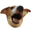 🤪 Эмодзи «belle the dog» для Telegram