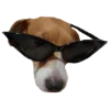 😎 Эмодзи «belle the dog» для Telegram