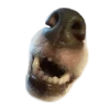 👄 Эмодзи «belle the dog» для Telegram