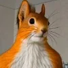 🖤 Эмодзи «Мемная Белка Из» для Telegram