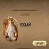 🖤 Эмодзи «Мемная Белка Из» для Telegram