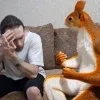 🖤 Эмодзи «Мемная Белка Из» для Telegram