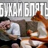 Эмодзи Мемная Белка Из для Telegram — скачать