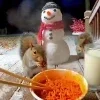 🖤 Эмодзи «Мемная Белка Из» для Telegram