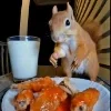 🖤 Эмодзи «Мемная Белка Из» для Telegram