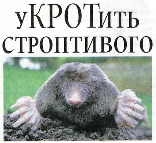 🐿 Стикер «BelPress» для Telegram