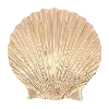 🐚 Эмодзи «Bluminary» для Telegram