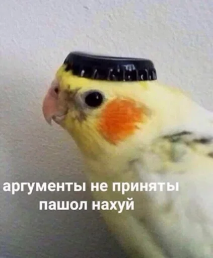 🤩 Стикер «Бесишь меня» для Telegram