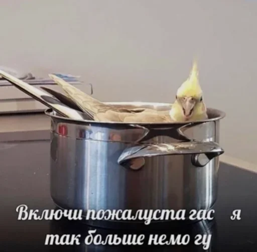😙 Стикер «Бесишь меня» для Telegram