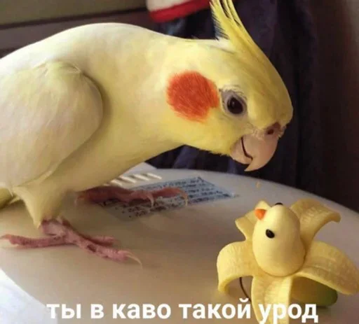 🤪 Стикер «Бесишь меня» для Telegram