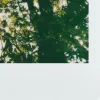 🤩 Эмодзи «Beyond Pages» для Telegram