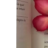🤩 Эмодзи «Beyond Pages» для Telegram