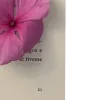 🤩 Эмодзи «Beyond Pages» для Telegram