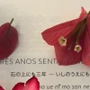 🤩 Эмодзи «Beyond Pages» для Telegram