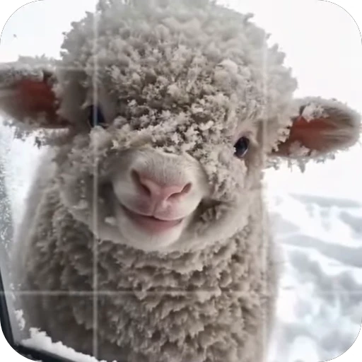 🥰 Стикер «Без слов» для Telegram