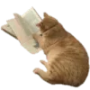 🐈 Эмодзи «Бежевый Vibe 20» для Telegram
