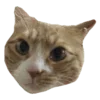 🐱 Эмодзи «Бежевый Vibe 20» для Telegram