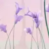 👋 Эмодзи «Bibble» для Telegram