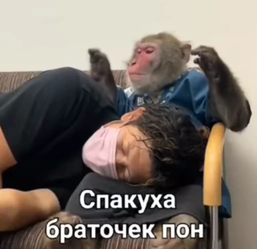 😌 Стикер «Бибизянки» для Telegram