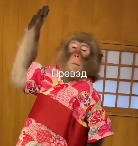 😁 Стикер «Бибизянки» для Telegram