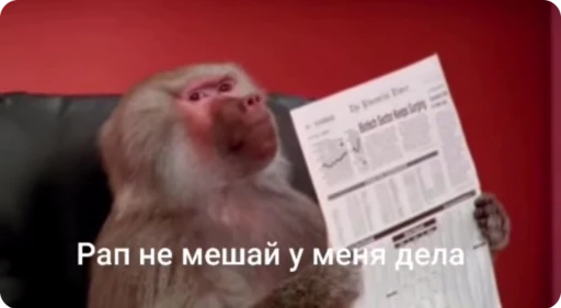 Стикерпак bibizi для Telegram