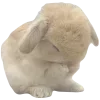 🐰 Эмодзи «Бежевый vibe #color #vibe» для Telegram