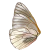 🦋 Эмодзи «красота в объеме» для Telegram