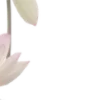 🌸 Эмодзи «красота в объеме» для Telegram