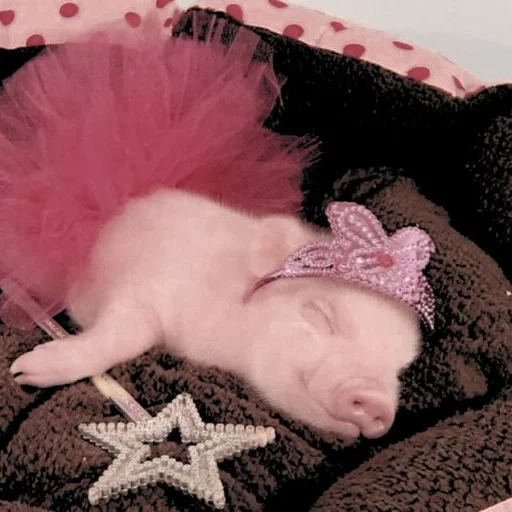 💝 Стикер «BIMBO ANIMALS» для Telegram