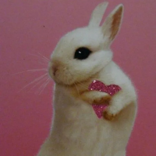 💝 Стикер «BIMBO ANIMALS» для Telegram