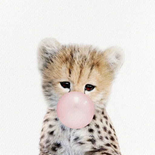 💝 Стикер «BIMBO ANIMALS» для Telegram