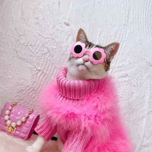 💝 Стикер «BIMBO ANIMALS» для Telegram