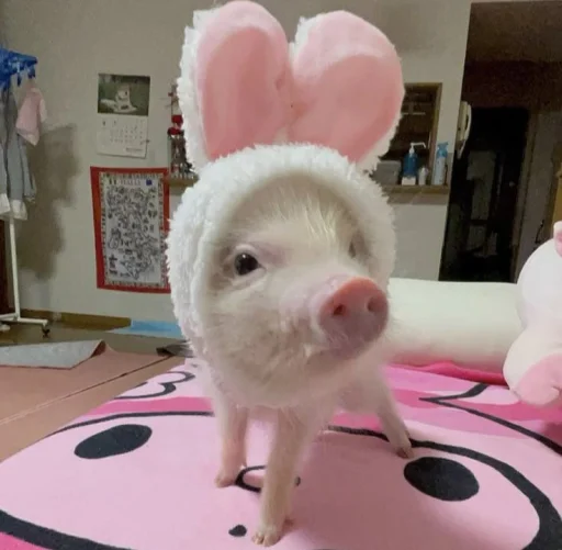 💝 Стикер «BIMBO ANIMALS» для Telegram