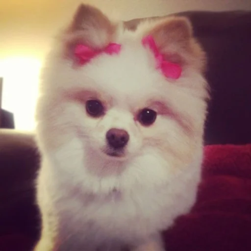 💝 Стикер «BIMBO ANIMALS» для Telegram