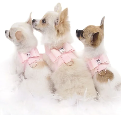 💝 Стикер «BIMBO ANIMALS» для Telegram