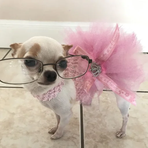 💝 Стикер «BIMBO ANIMALS» для Telegram