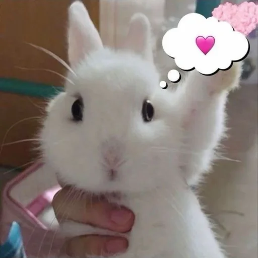 💝 Стикер «BIMBO ANIMALS» для Telegram