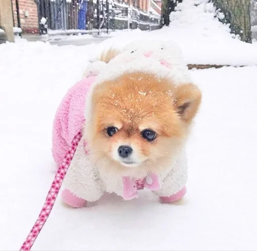 💝 Стикер «BIMBO ANIMALS» для Telegram