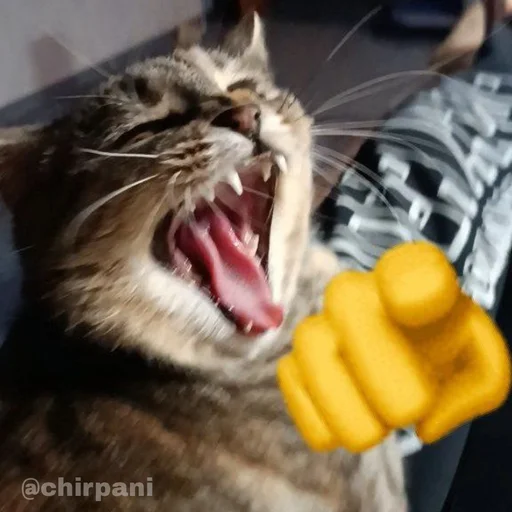 😹 Стикер «BioMemes» для Telegram