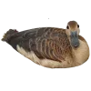 😐 Эмодзи «Birds» для Telegram