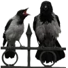 😳 Эмодзи «Birds» для Telegram