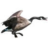 😚 Эмодзи «Birds» для Telegram