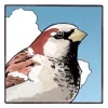 🧐 Эмодзи «Birds» для Telegram