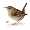 🐦 Эмодзи «Birds» для Telegram