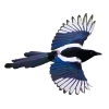 😣 Эмодзи «Birds» для Telegram