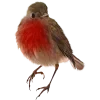 🤩 Эмодзи «Birds» для Telegram